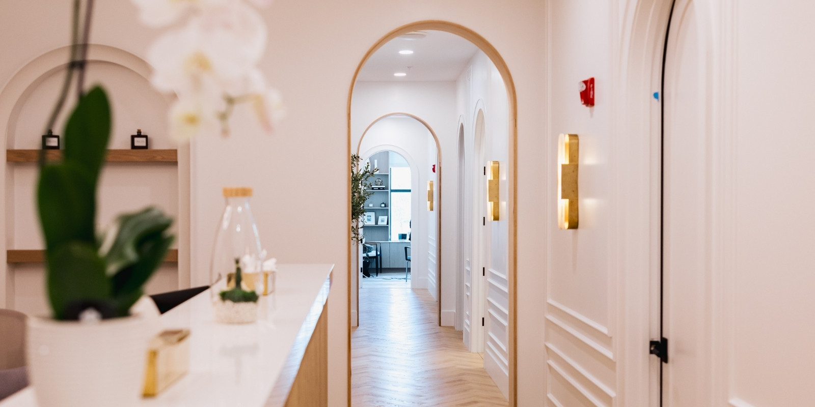 pps_plastic-surgery-office-tampa-fl_6